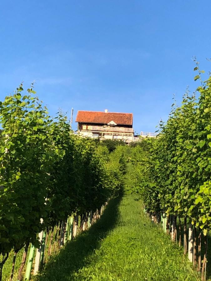 Appartement Georgiberg Ehrenhausen Zewnętrze zdjęcie